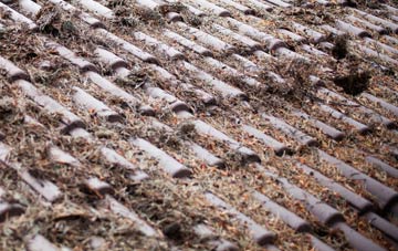 Shearington roof cleaning companies