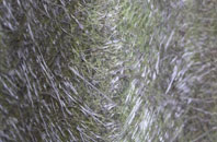 Shearington fibreglass roof work